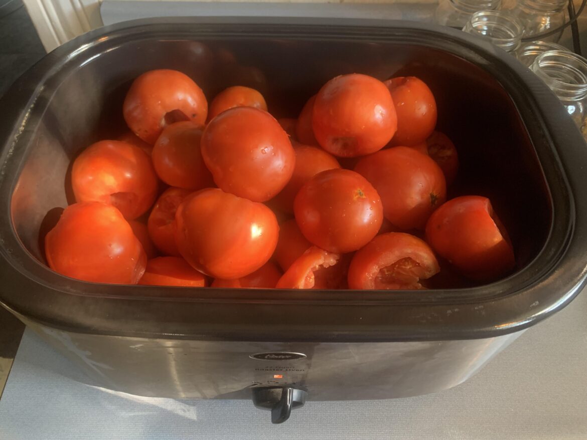 Gettcha one of these Gettcha one of these