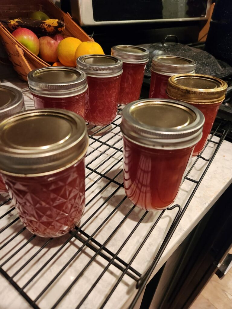 Peaches, Peaches, Peaches, Peaches, Peaches (jam)