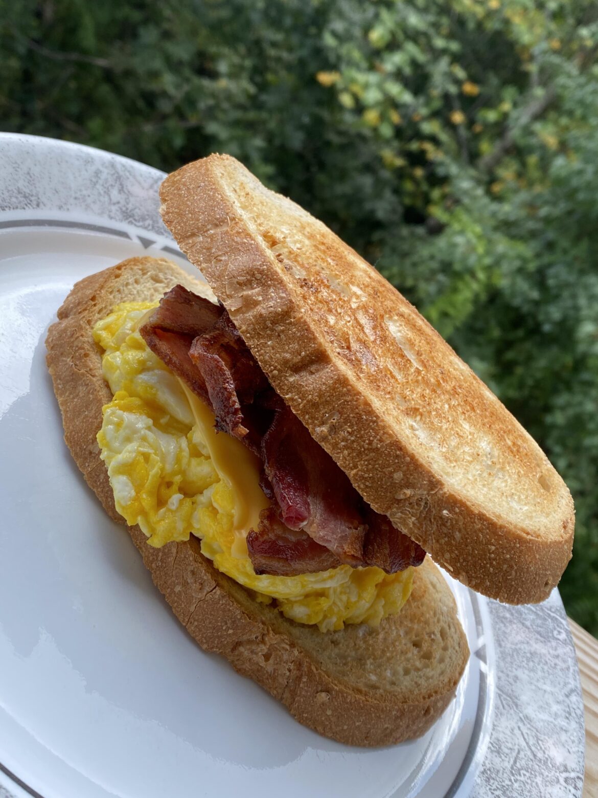 Bacon, egg and cheese on cracked wheat sourdough 🌅