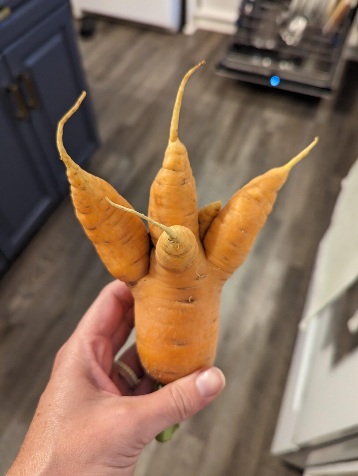 Ugly vegetables - I'll show you mine if you show me yours