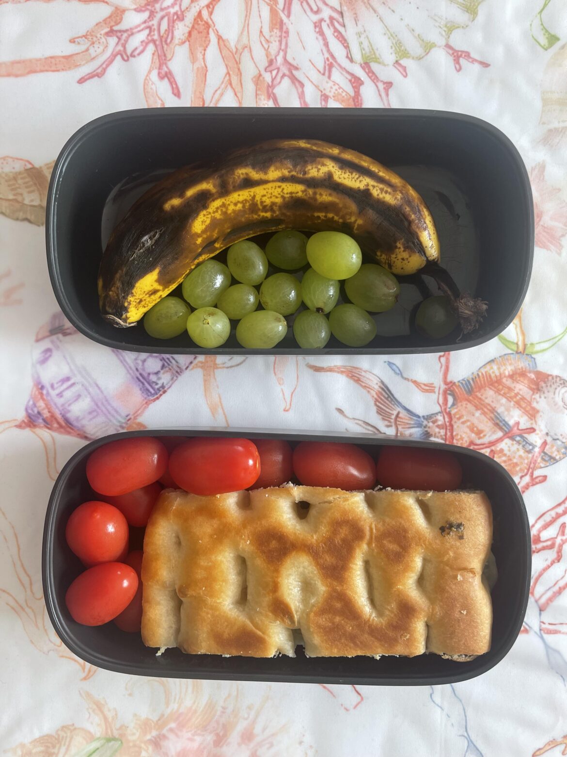 Bento for the day