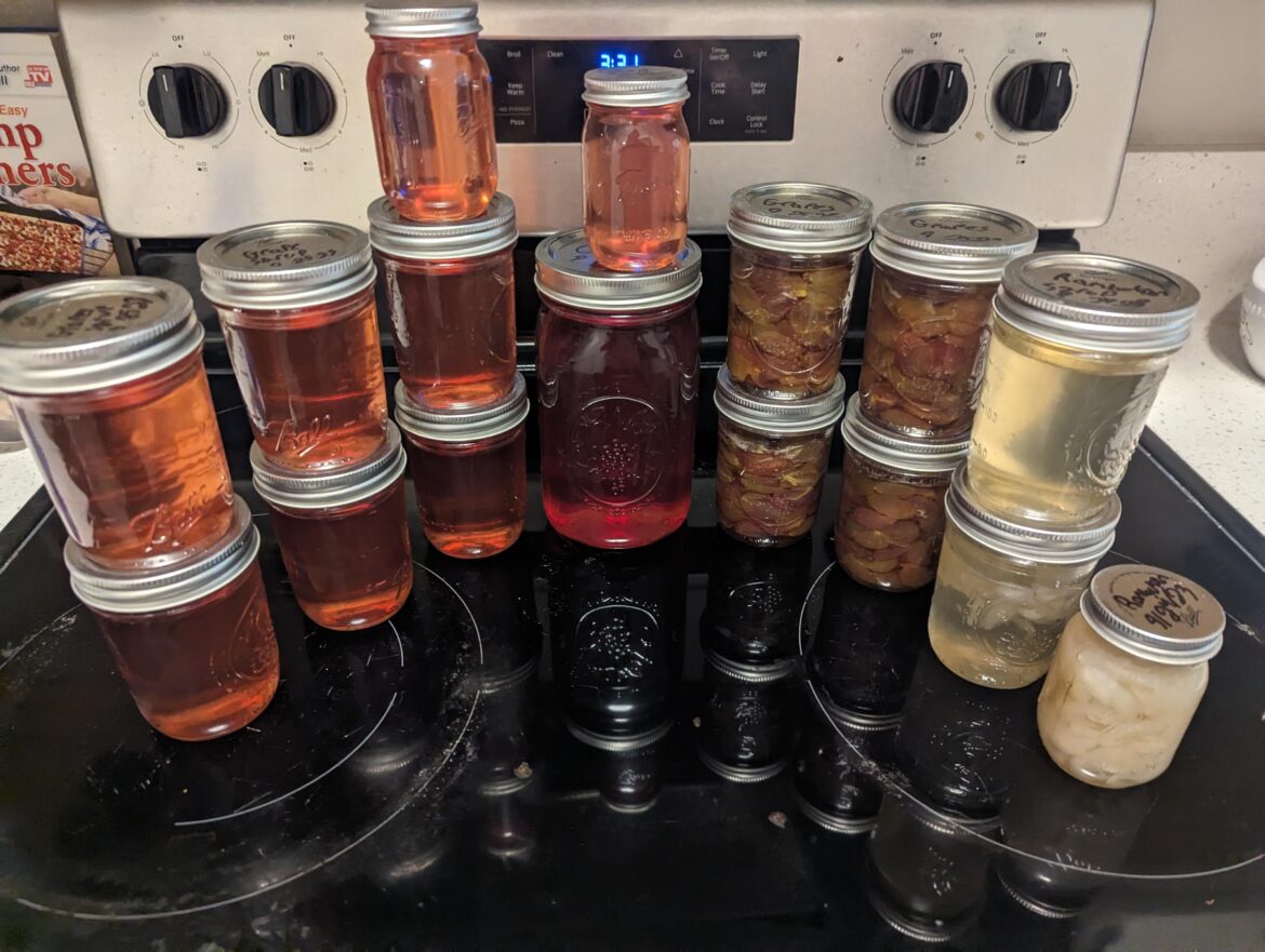 First time making and canning Grape syrup and Rambutan syrup and resulting stewed fruits.