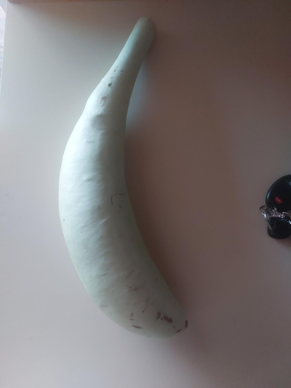 Found this at a sikh gas station