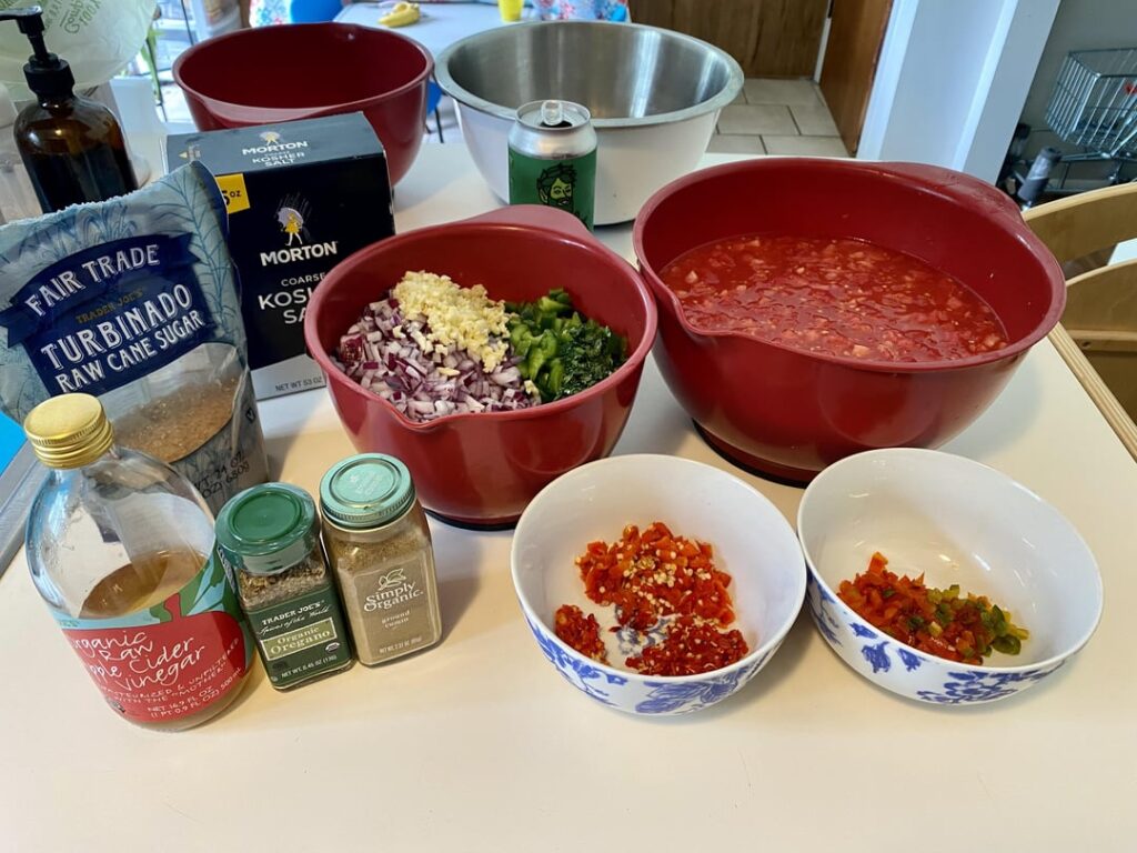 Red Chilli Garden Salsa - Medium and Hot