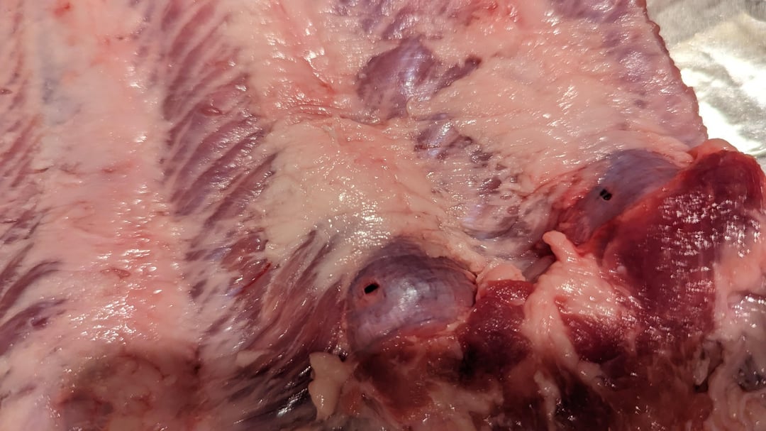 Small black punctures in spare rib bones, is it okay? - Dining and Cooking