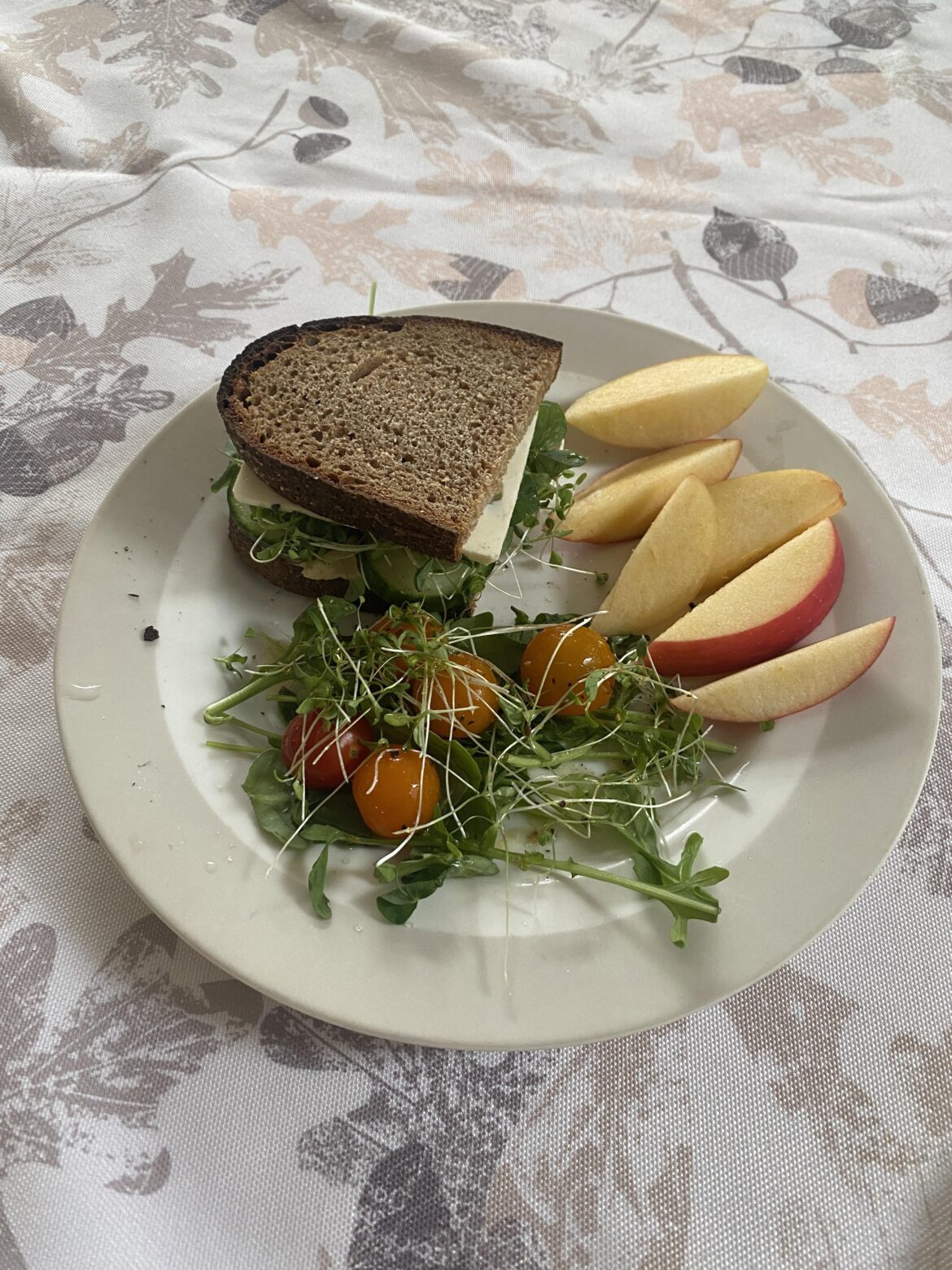 Lunch: whole grain bread (one slice) with hummus, cucumber, alfalfa sprouts, and feta with small side salad and apple slices