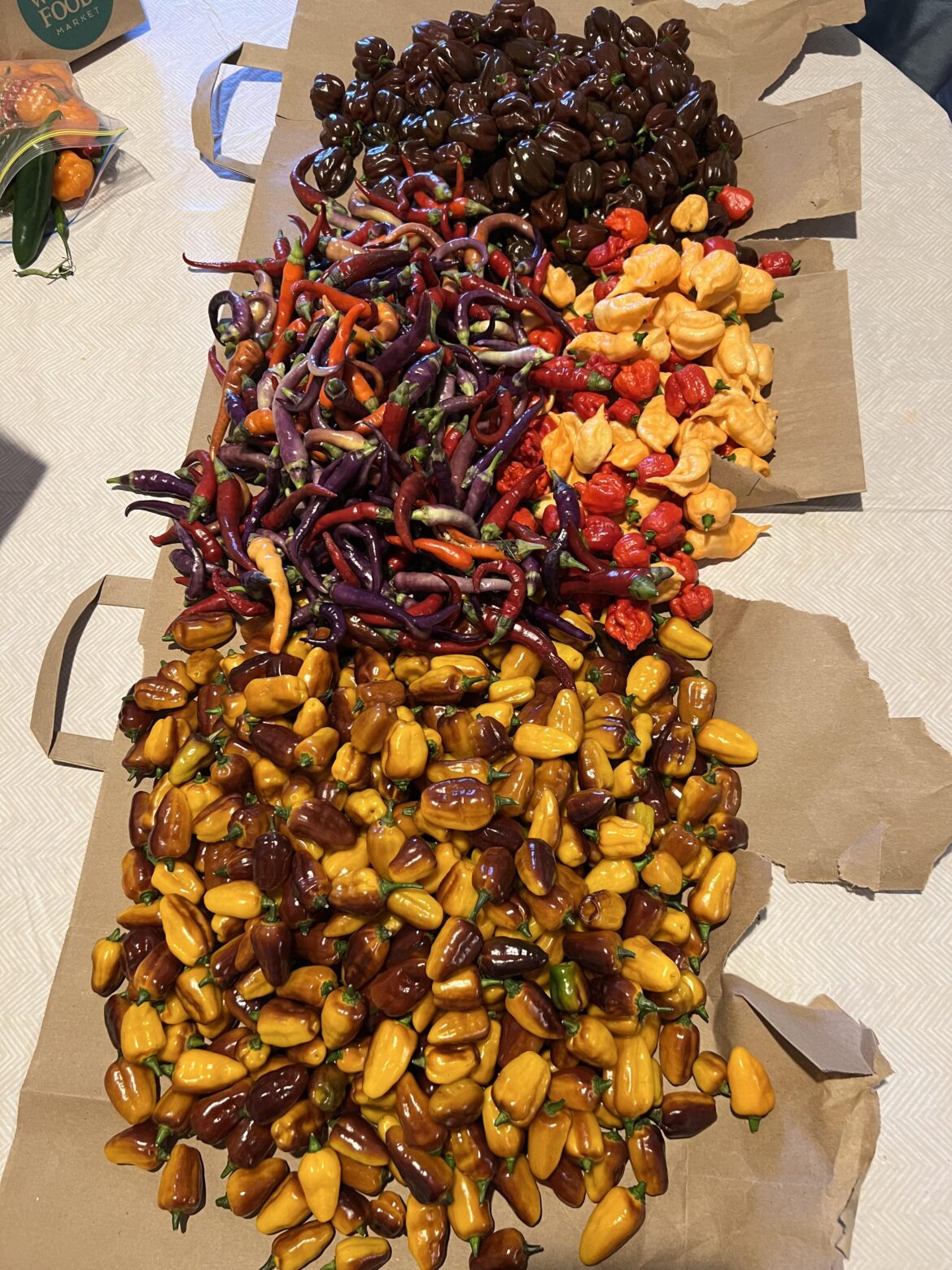 My friend gave me these for free. He grew so many he didn’t know what to do with them. Time to make some salsa for friends and family 🔥