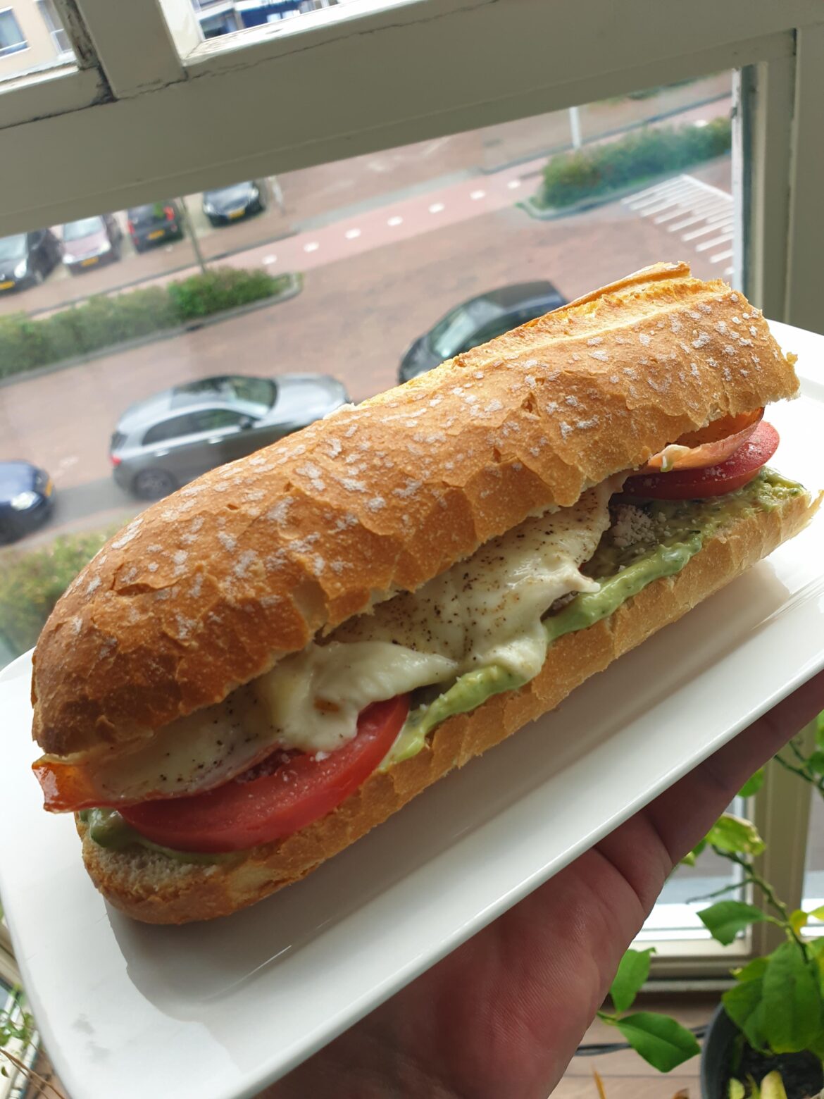 Pesto mayo grilled mozzarella crudo ham tomatoes sandwich