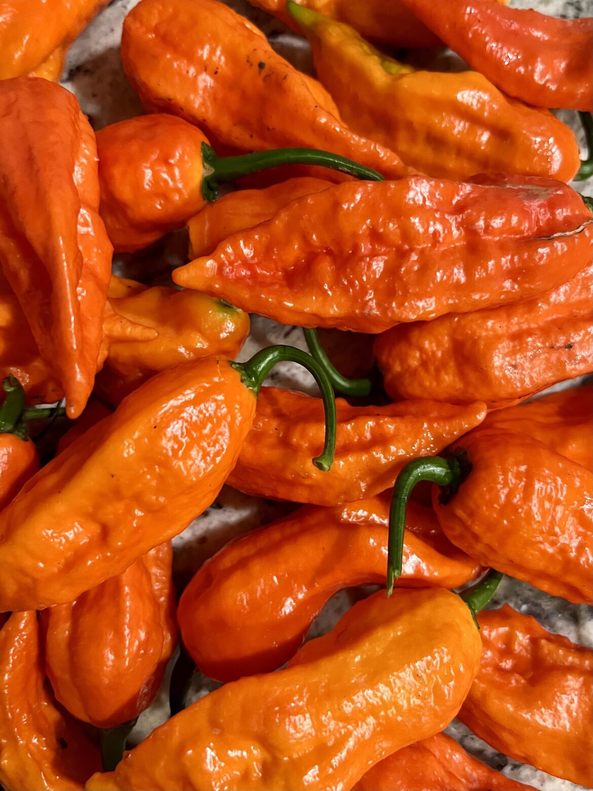 Our ghosts looking all pretty and innocent.