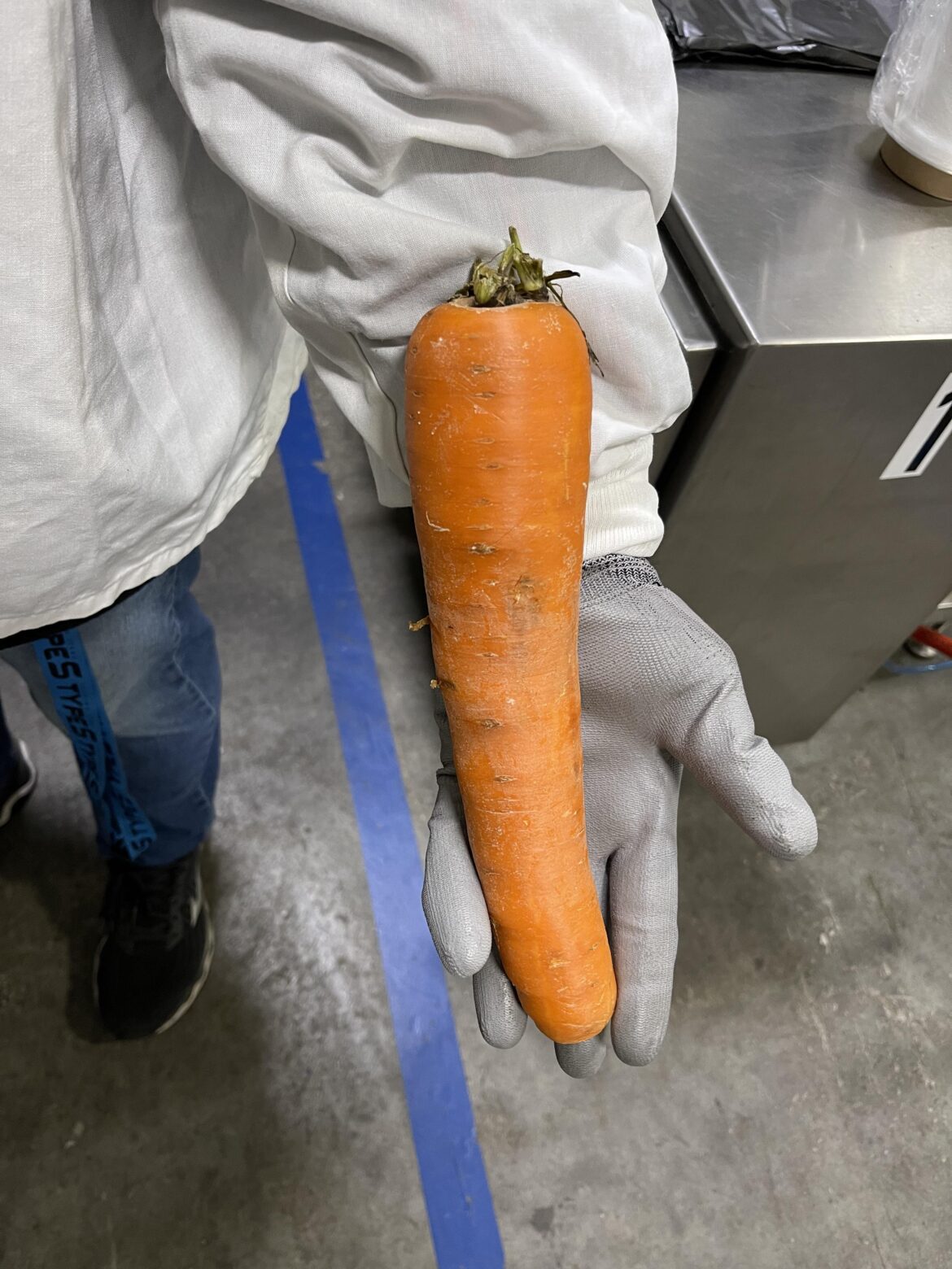 Crazy carrots! 🥕🤭