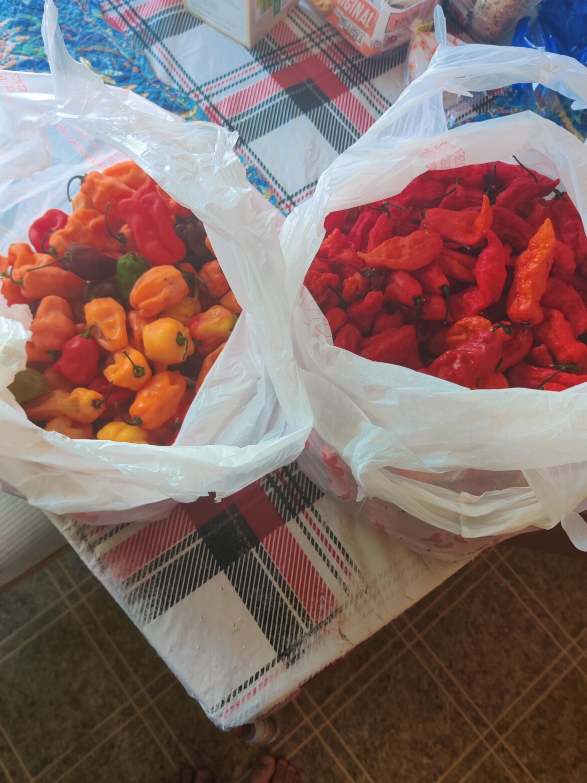 Got these from a coworker for $40, how'd I do?