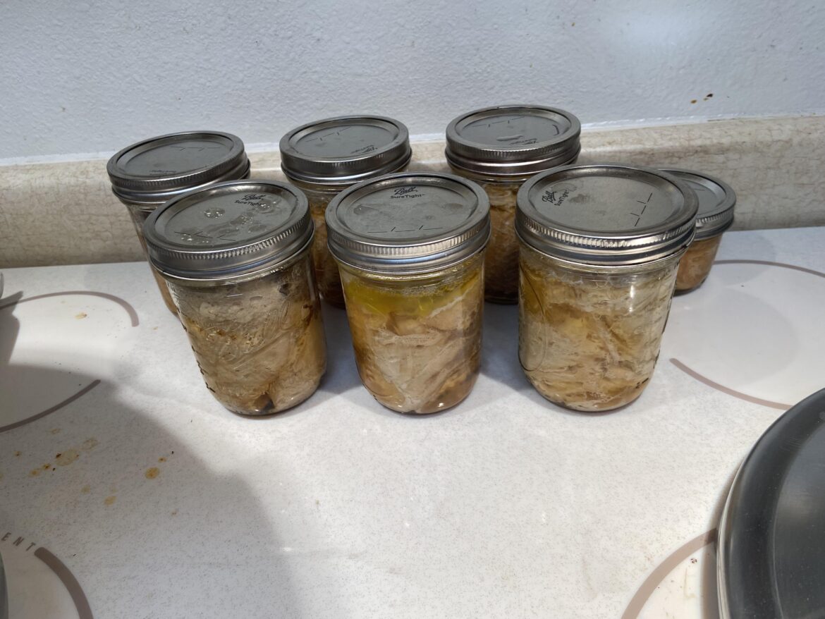 Some more wild caught fish!