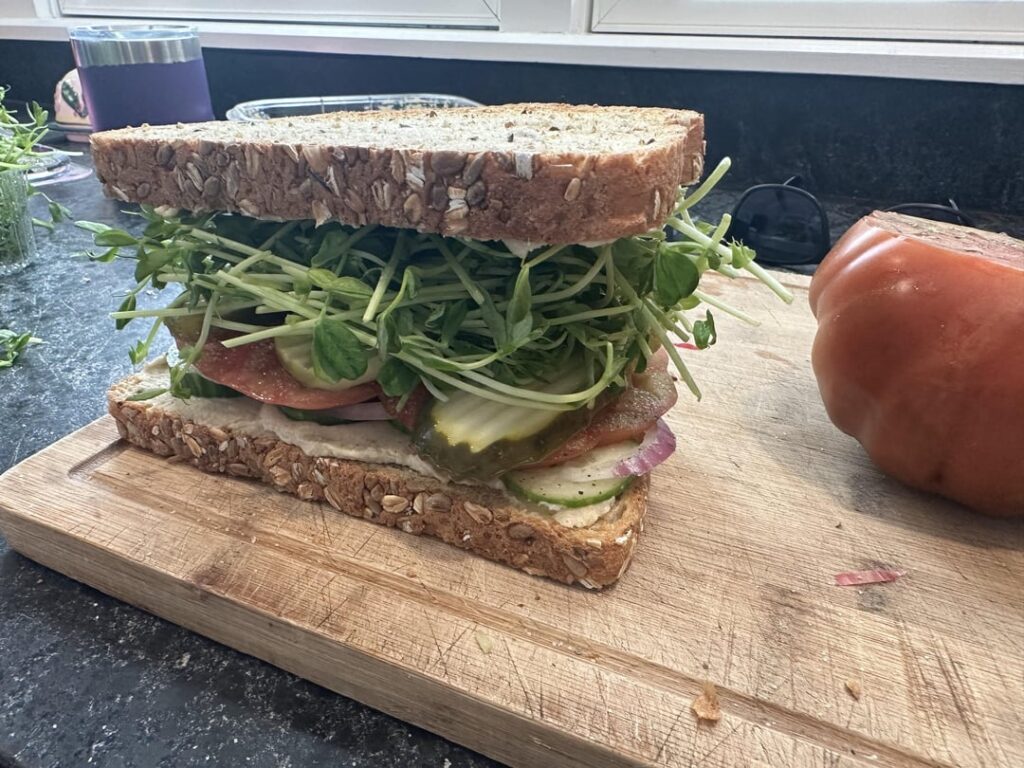 Veg Sandwich