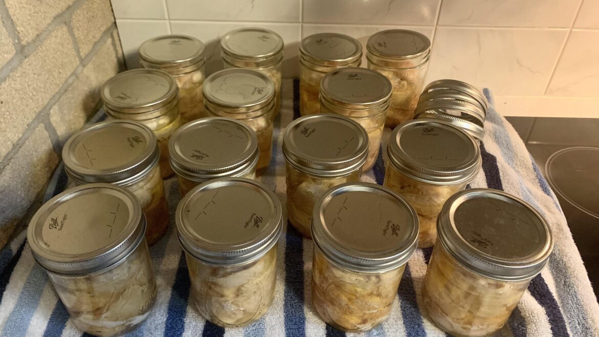 I think I have a new hobby(addiction)