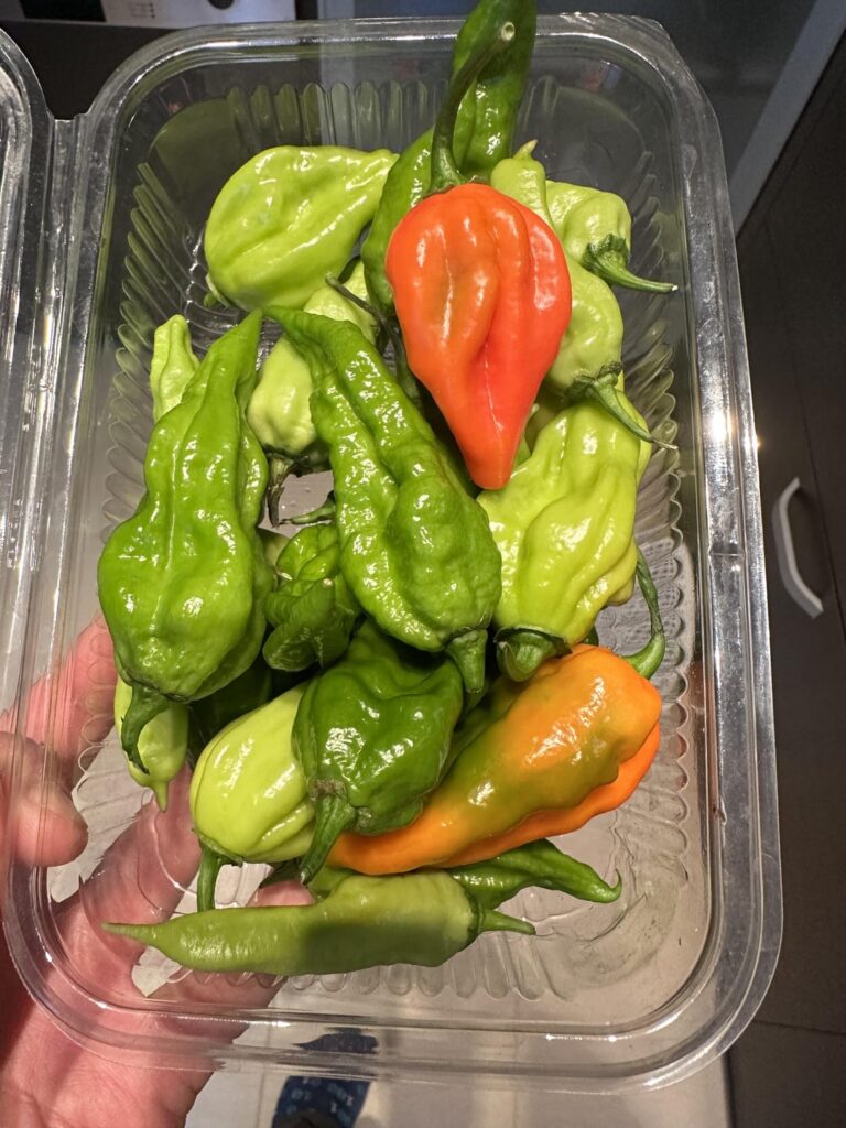 How can I use these peppers? Asking for help and suggestions