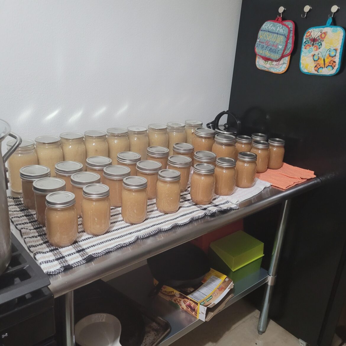 I spent yesterday making applesauce...