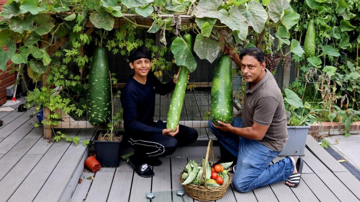 October Garden Tour And Massive Harvest - Organic Vegetable Gardening