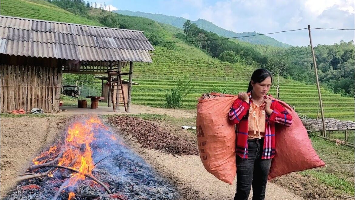 Improving vegetable garden land dh build farm life.