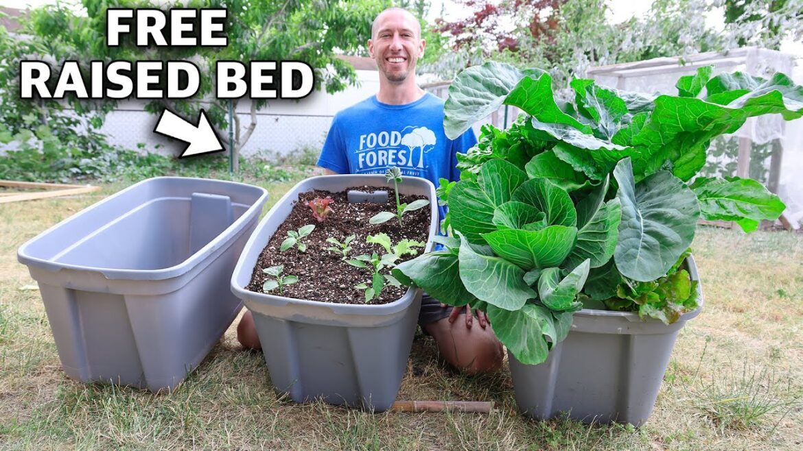 How to Build a RAISED BED in a TOTE, FREE Container Gardening! How to Build a RAISED BED in a TOTE, FREE Container Gardening!