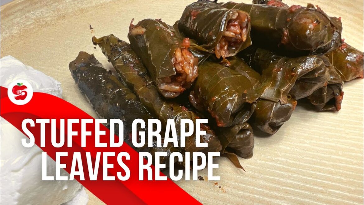 Vegan Stuffed Grape Leaves Recipe (Turkish Dolma Recipe) by Diets Meal Plan