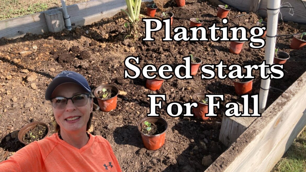 If you can find this, get it! Building soil for your garden. If you can find this, get it! Building soil for your garden.