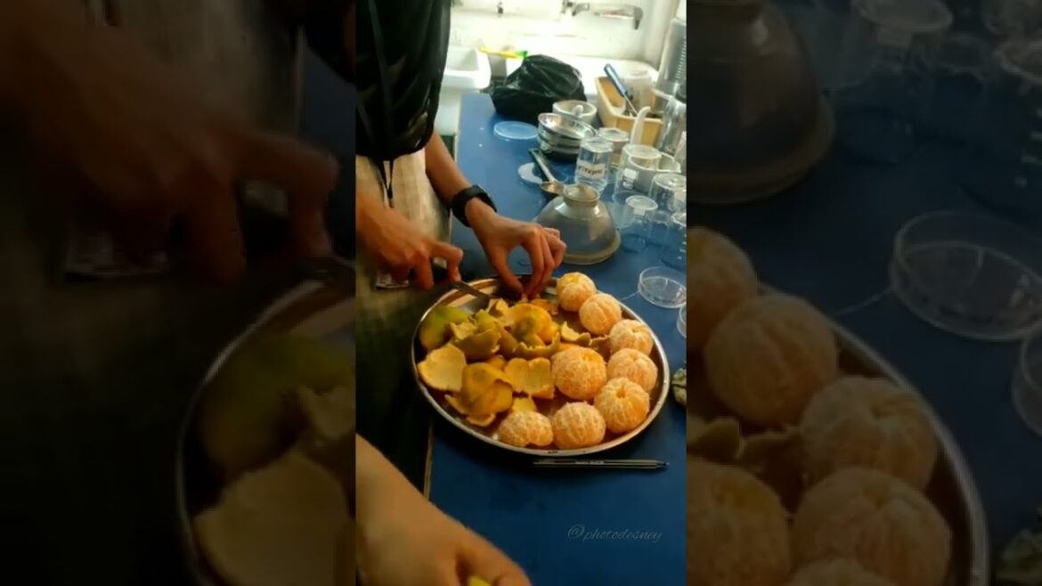 Extraction of Essential Oil from Orange Peel Using Clevenger Apparatus | Food Processing | CUTM