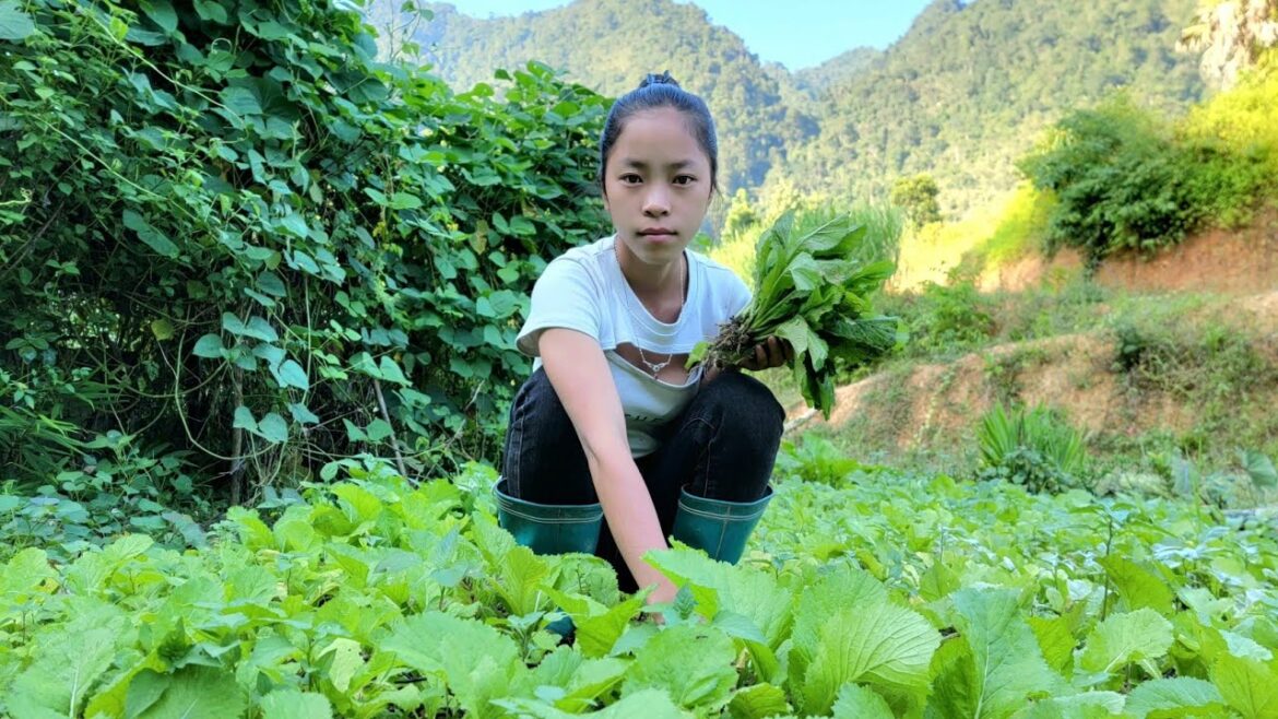 The orphan girl completes the vegetable garden alone, part 2 The orphan girl completes the vegetable garden alone, part 2