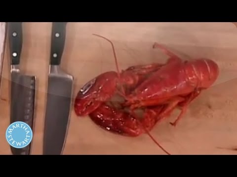 Martha Stewart’s Lobster Roll Recipe – Martha Stewart Martha Stewart's Lobster Roll Recipe - Martha Stewart