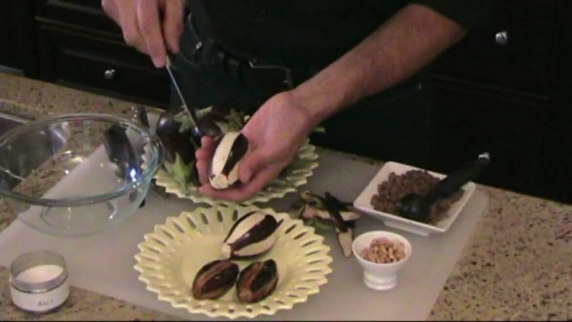 Stuffed Eggplant (Shiekh el Mihshi)