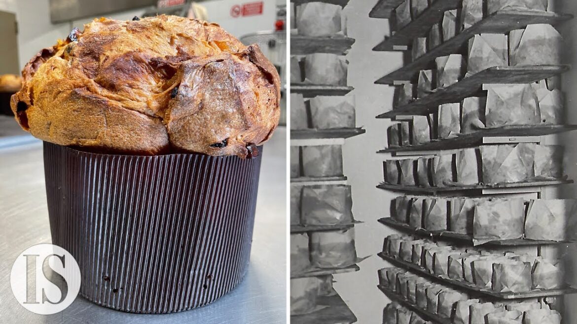 Il Panettone: la ricetta milanese originale della Pasticceria Besuschio dal 1845