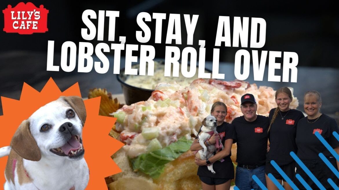 Sit, Stay, and (Lobster) Roll Over | Lily's Cafe