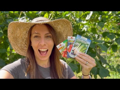 November Vegetables: What to plant in your Florida Vegetable Garden month by month November Vegetables: What to plant in your Florida Vegetable Garden month by month