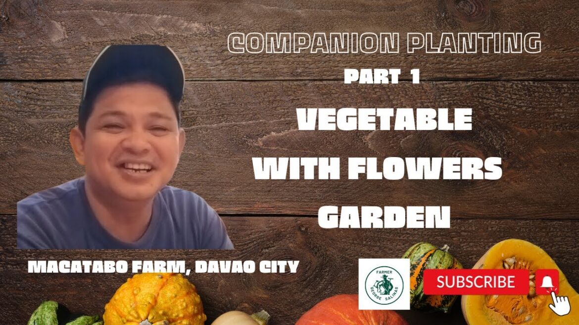 Macatabo Vegetable Garden: Companion Planting with Flowers for Ultimate Succes PART 1 Macatabo Vegetable Garden: Companion Planting with Flowers for Ultimate Succes PART 1
