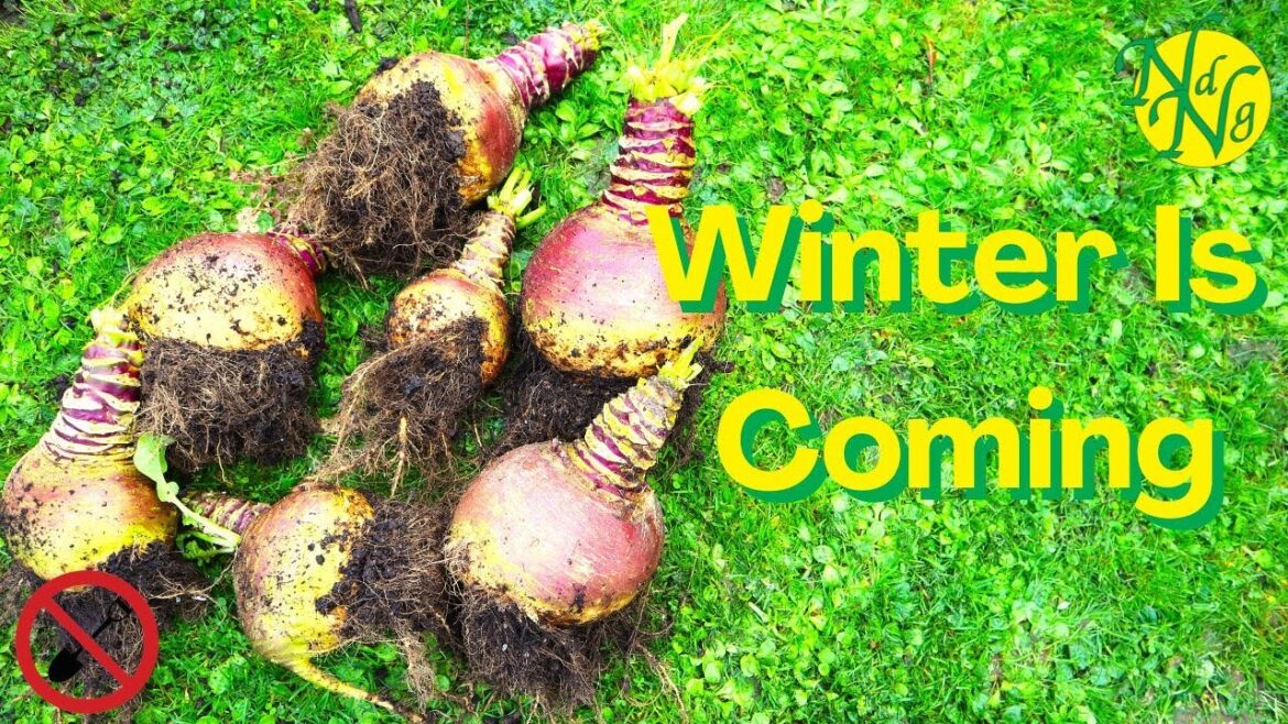 Winter No Dig Veg Garden Preparation Winter No Dig Veg Garden Preparation