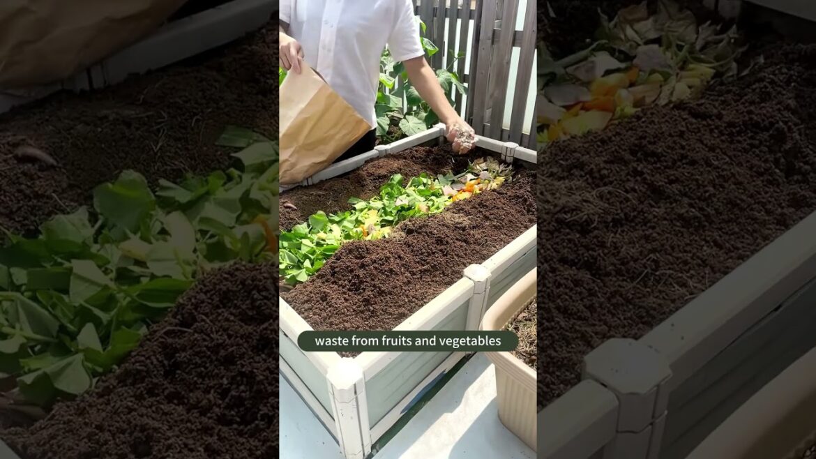 Tips for food waste to make organic fertilizer. #plants #gardening #flower #soil #planting