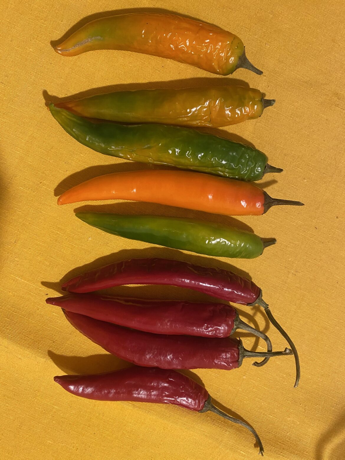 What are these? A bit spicy but you can eat them raw without a problem if you have a bit of tolerance.