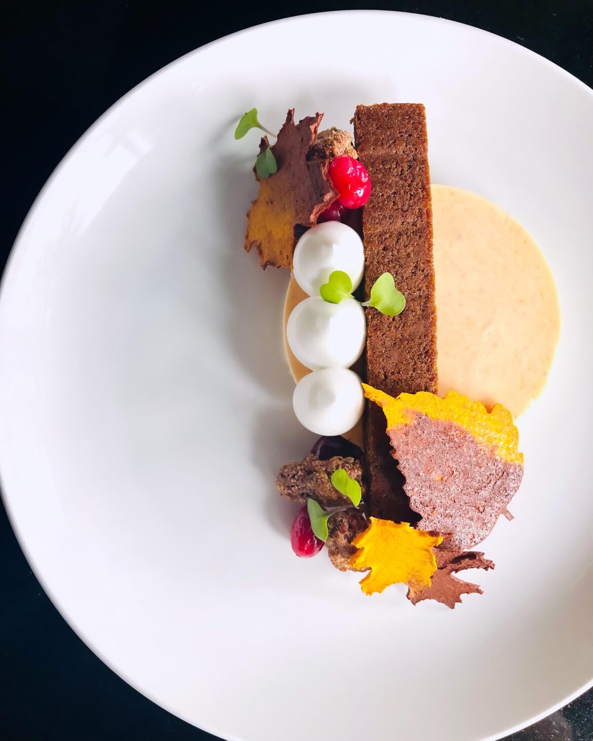 Sweet Potato Mousse/ Marshmallow Fluff/ Gingersnap / Candied Pecans / Cranberry Compote 🍂🍁