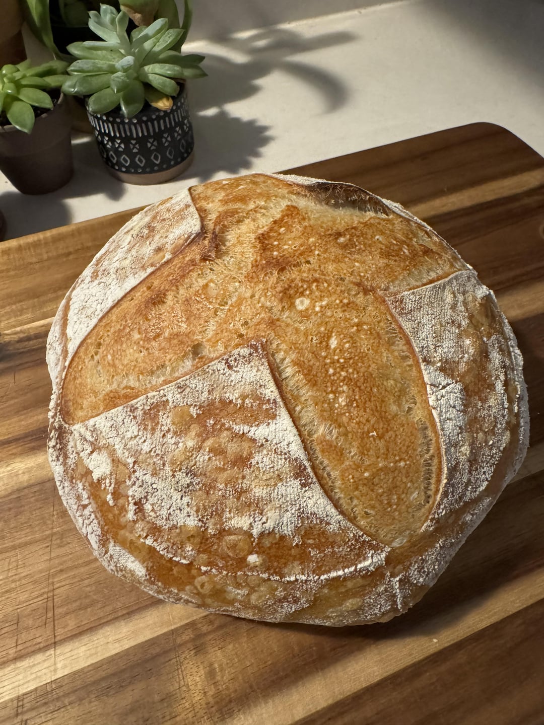 First sourdough. Crumb was a little chewy/gummy. Ideas on how to combat