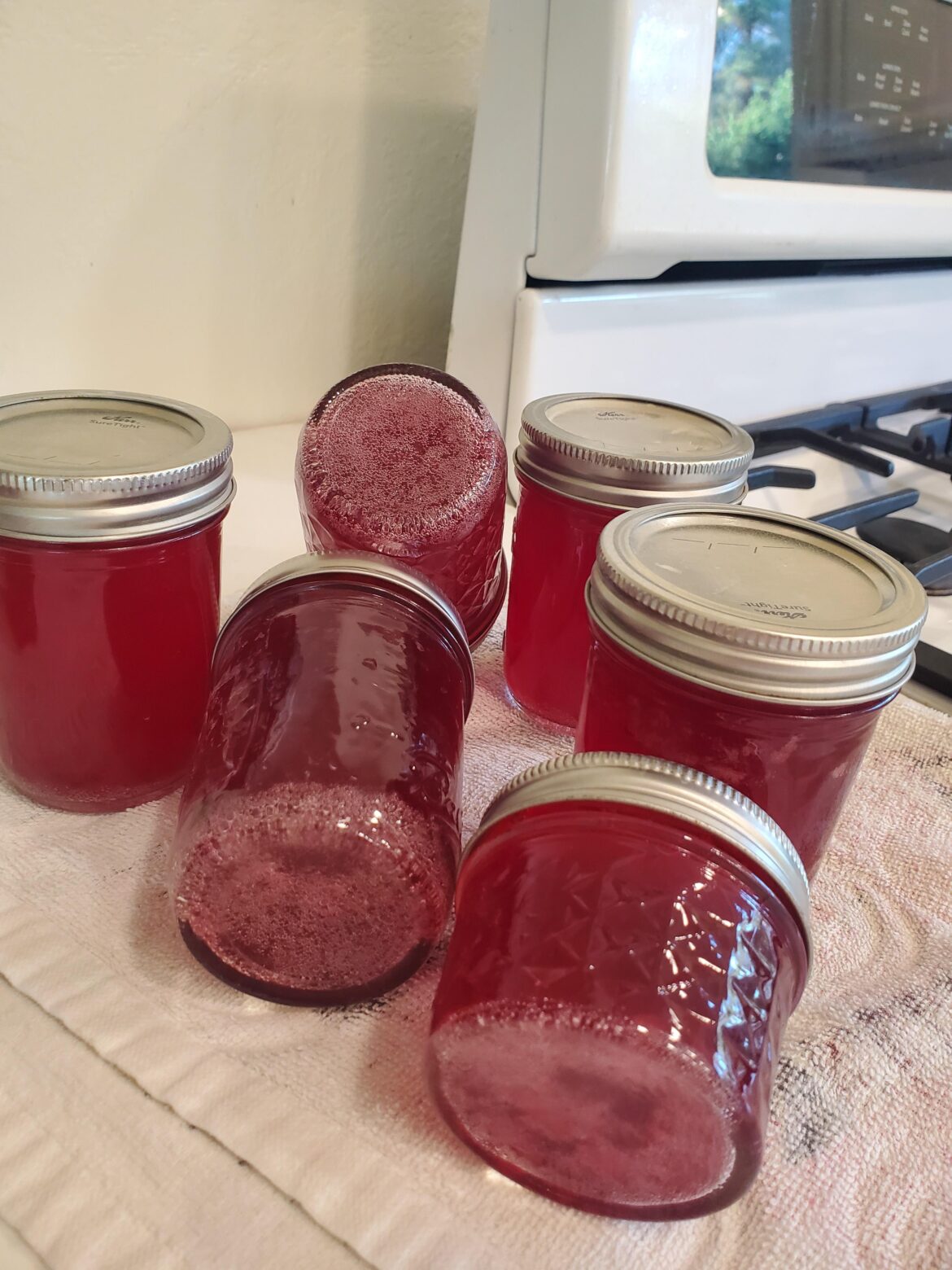 Tiny bubbles Tiny bubbles