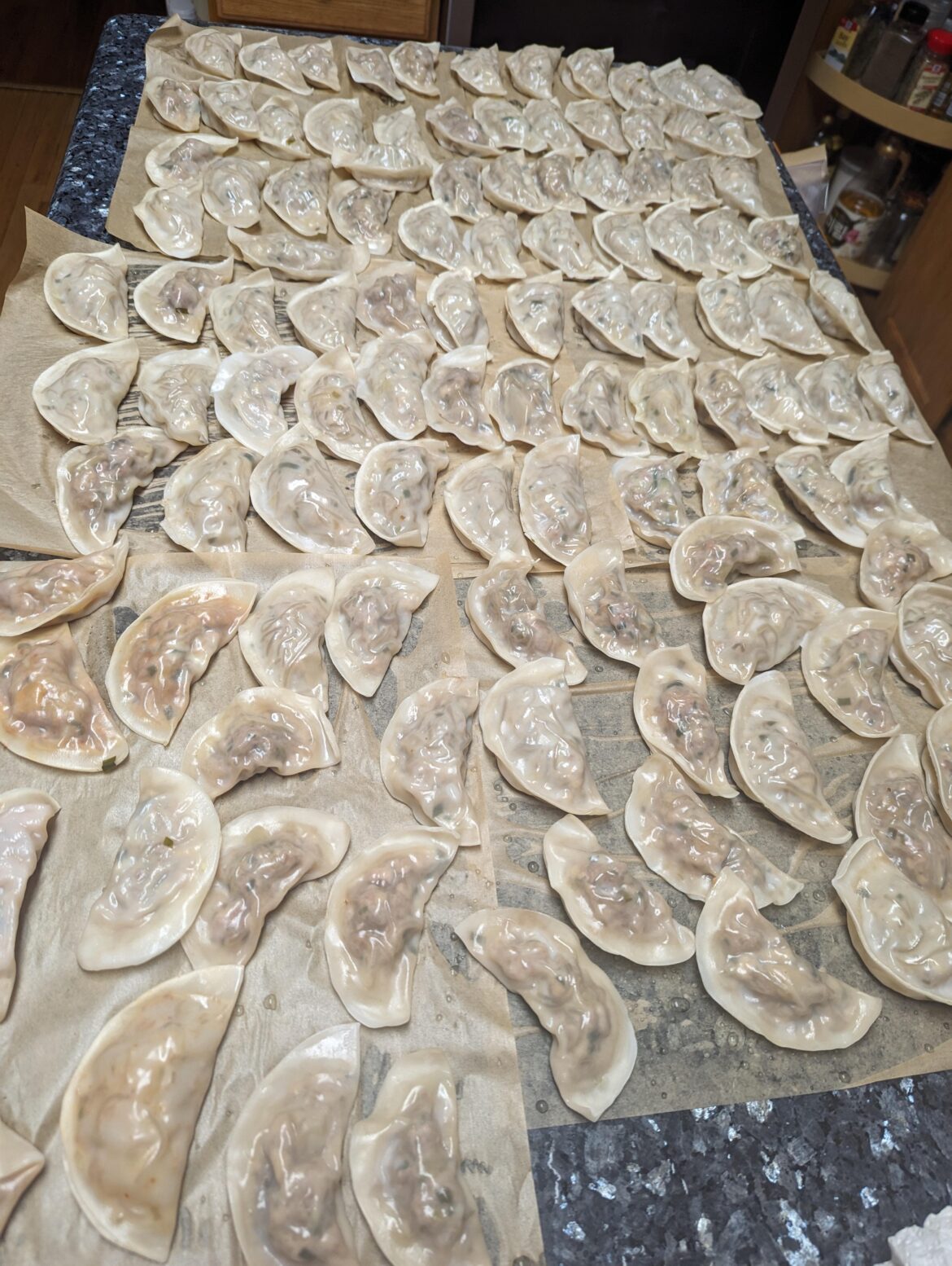 Homemade Mandoo! Mostly regular with a few kimchi ones on the left