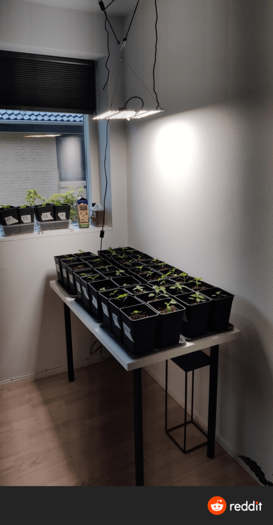 Update on my winter setup – 12 days Update on my winter setup - 12 days