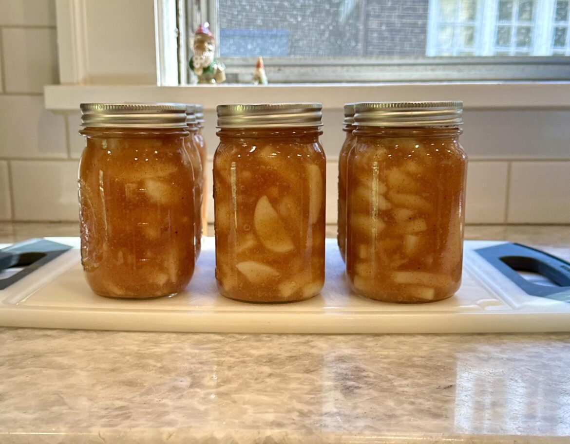 First batch of apple pie filling of the year 🍎💜 First batch of apple pie filling of the year 🍎💜