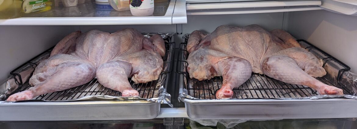 Spatchcock Turkey Dry Brine Question