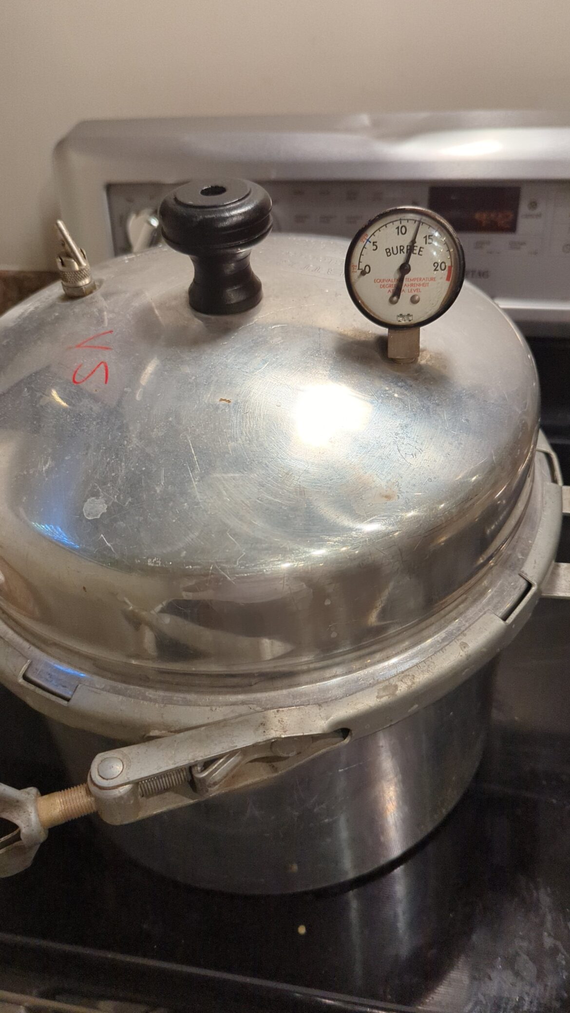 Pressure canning some beef stock in this 30's/40's burpee pressure canner. Is 15 minutes at 15lbs enough for 1L jars?