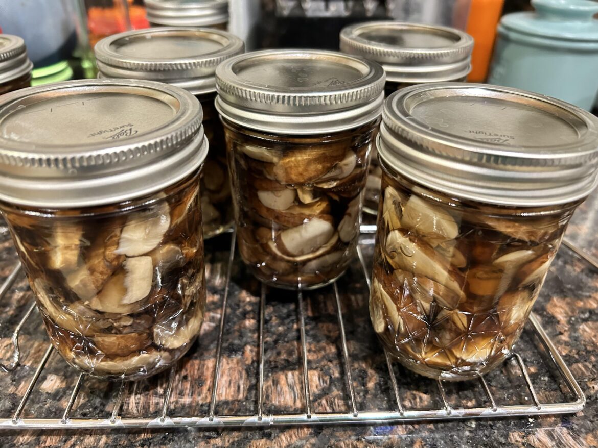 I don’t see many mushroom posts on here, where are my mushroom people at??