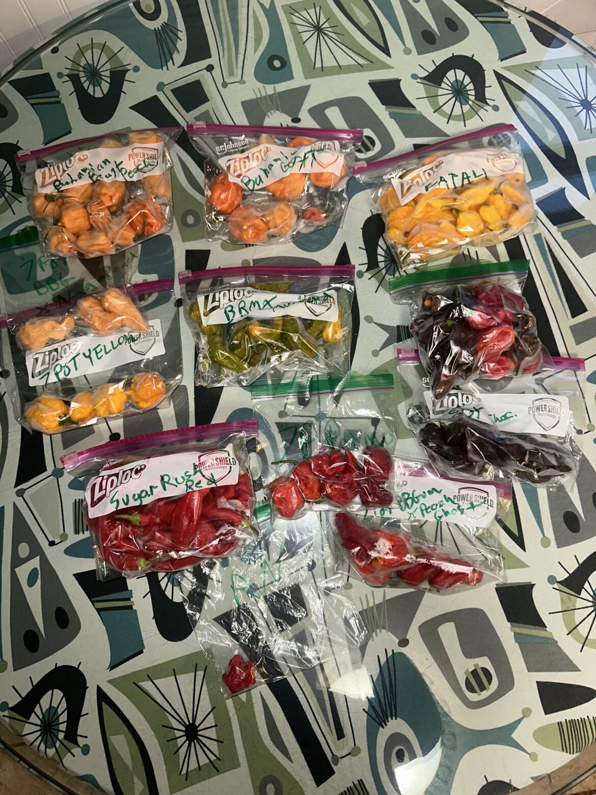 This years chili harvest