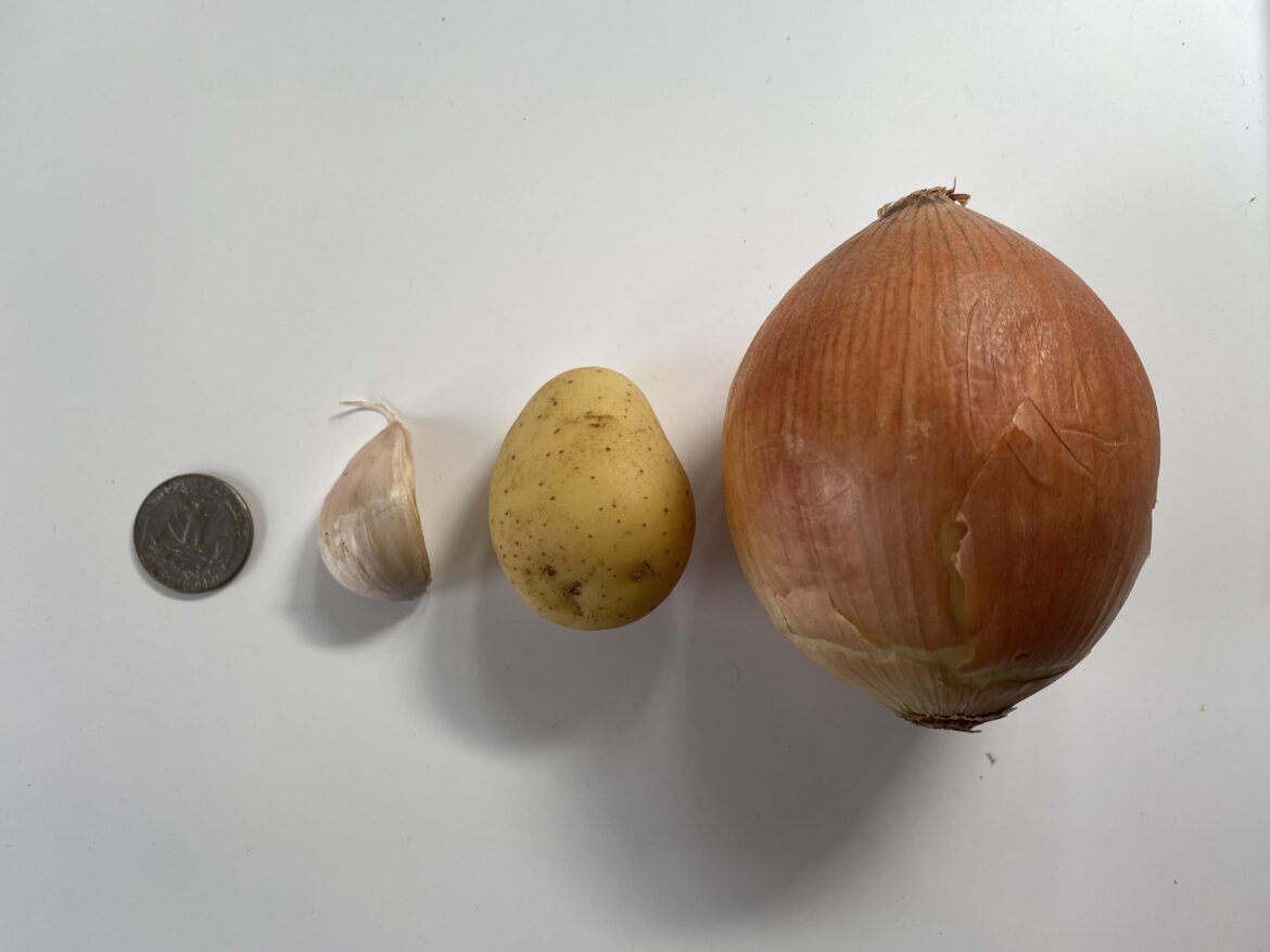 I see your small onion and raise you my tiny potato