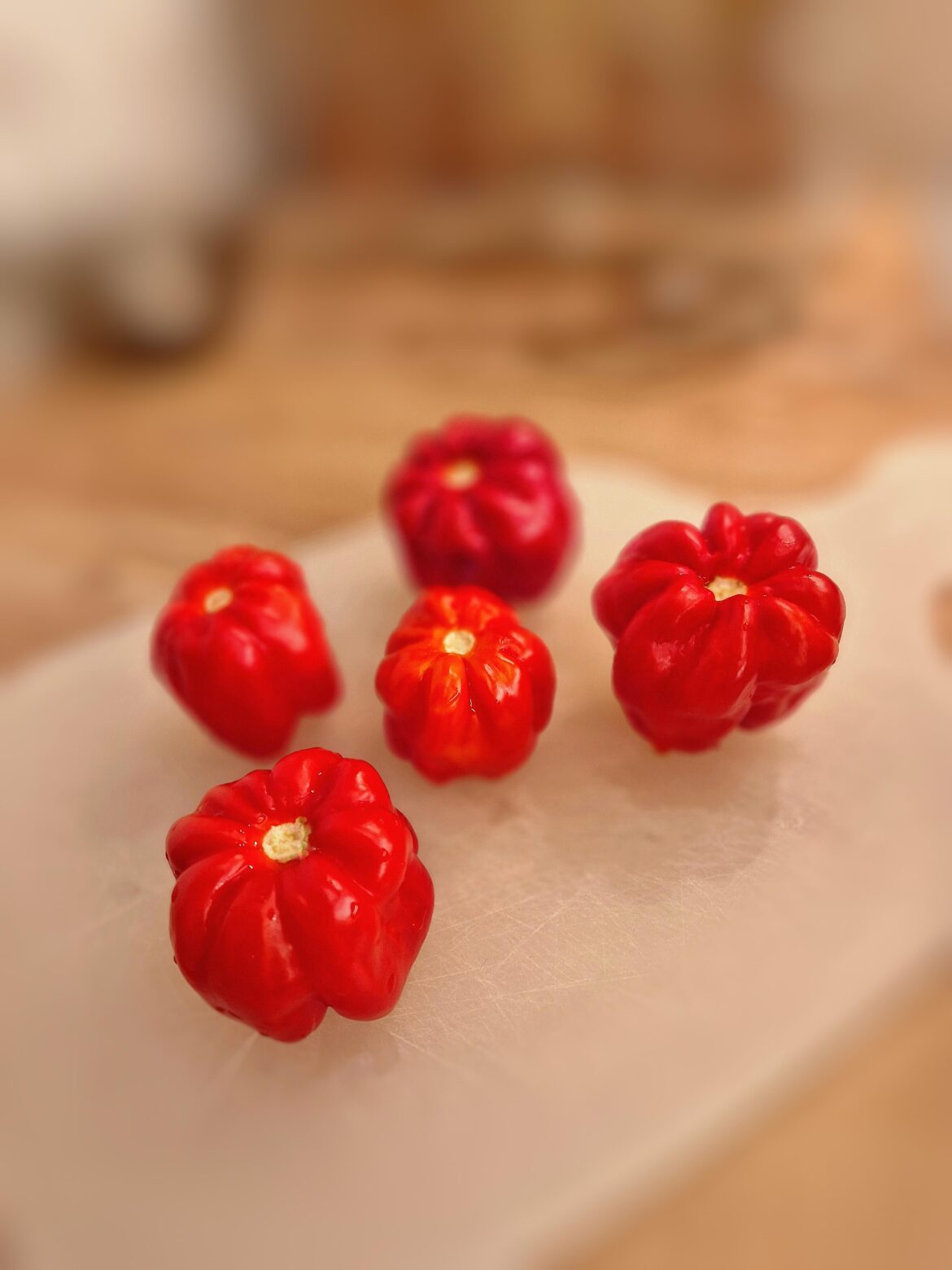 Gonna tell kids these are mini pumpkins 🎃💀