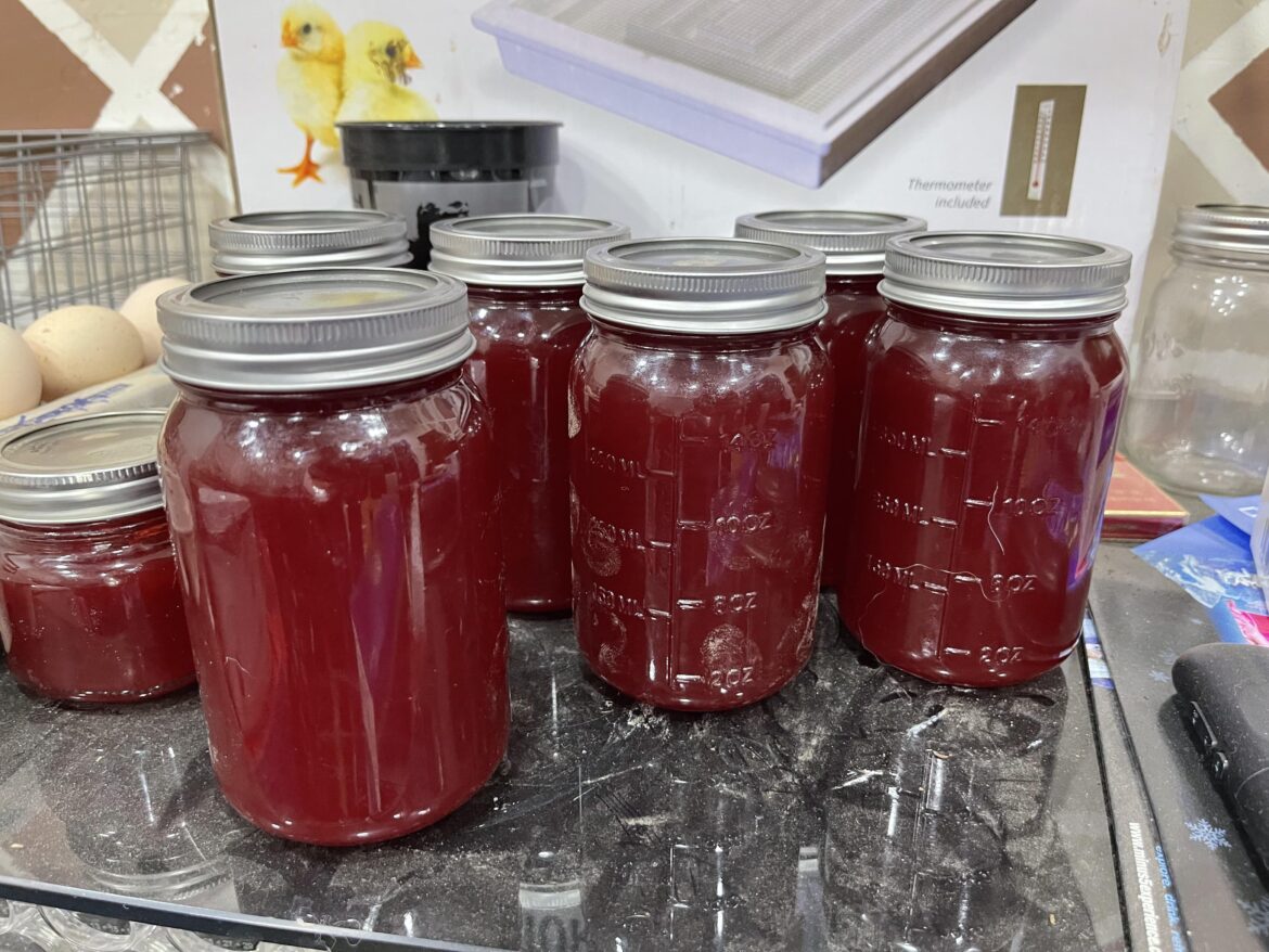 Successfully canned jelly!!