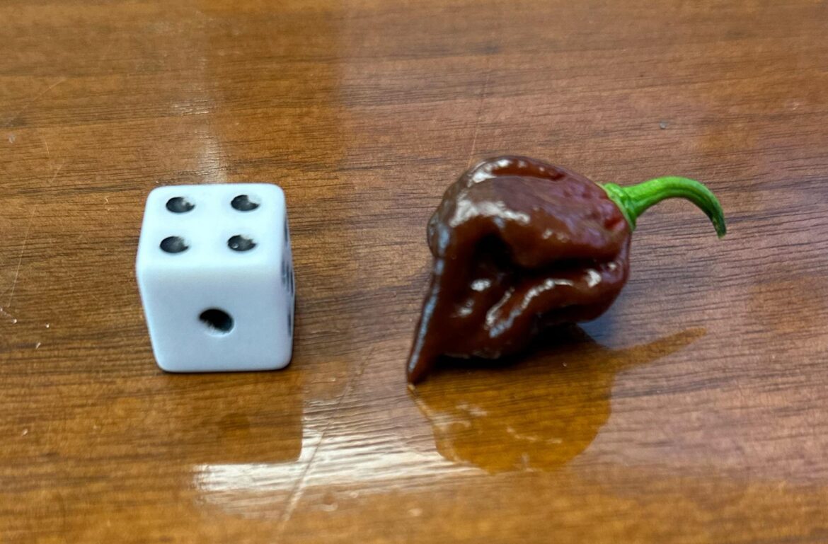 What Kind of Pepper is this?